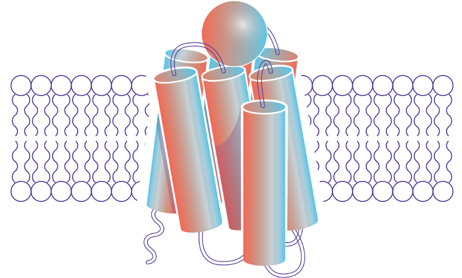 proprietary melanocortin receptor agonists